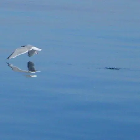 아파트 Duenenblick Seepferdchen