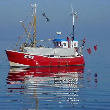 Duenenblick Seepferdchen *