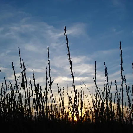 아파트 Duenenblick Seepferdchen 티멘도르프스트랜드